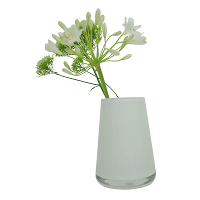 Vase "Numa" Villeroy & Boch