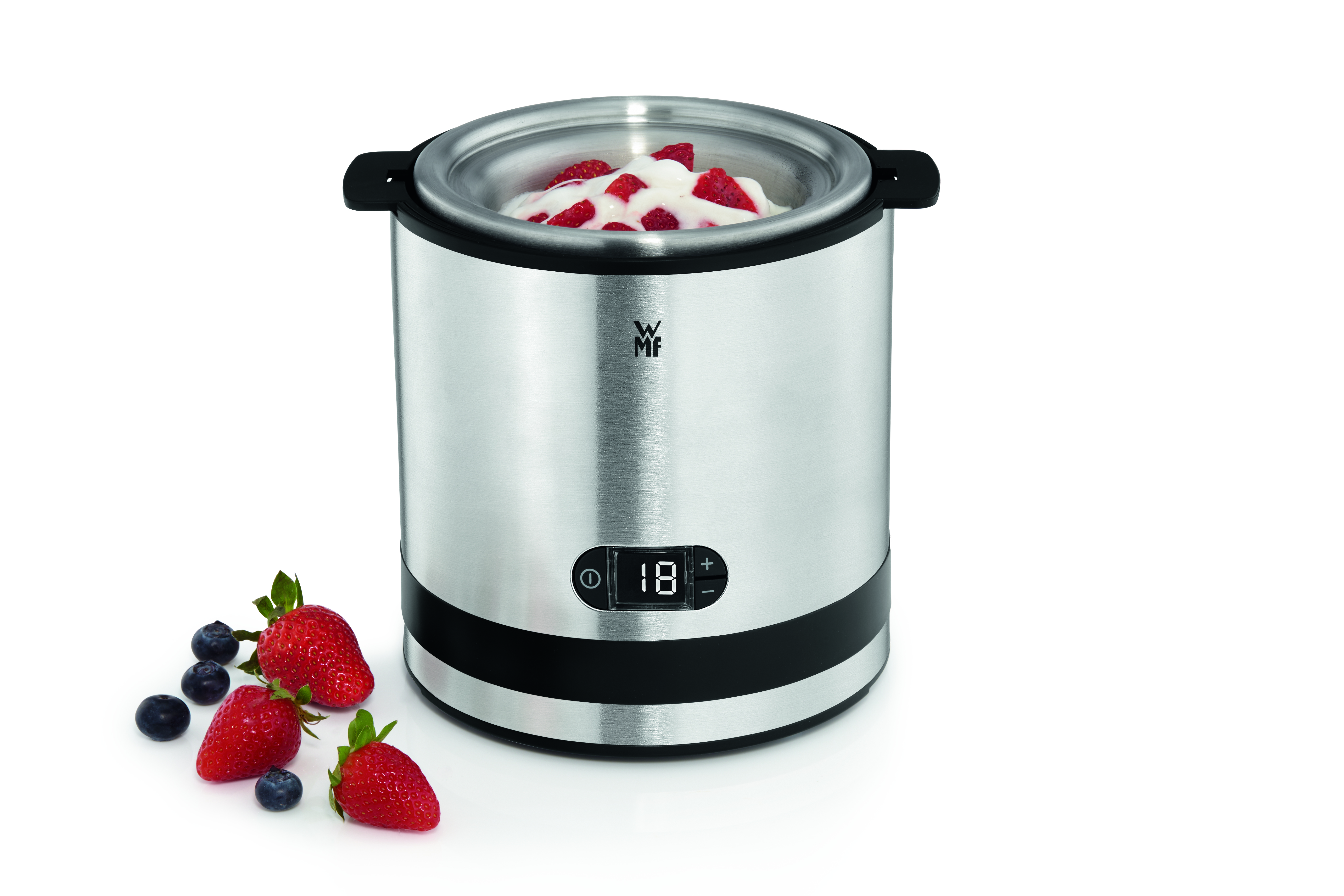 WMF Eismaschine
