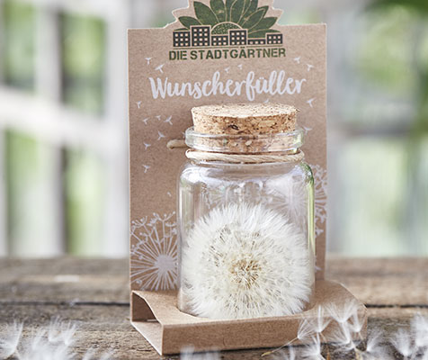 Wunscherfüller "Pusteblume" Wunscherfüller "Pusteblume"