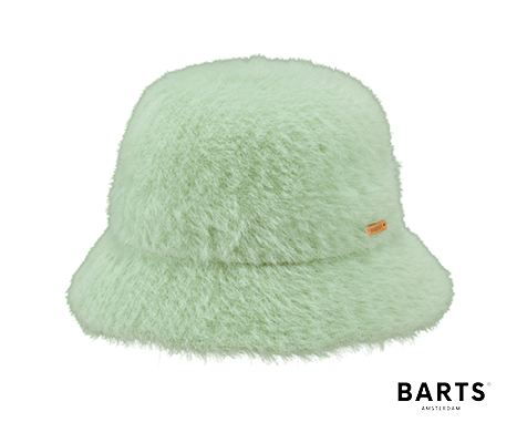 Mint Mint