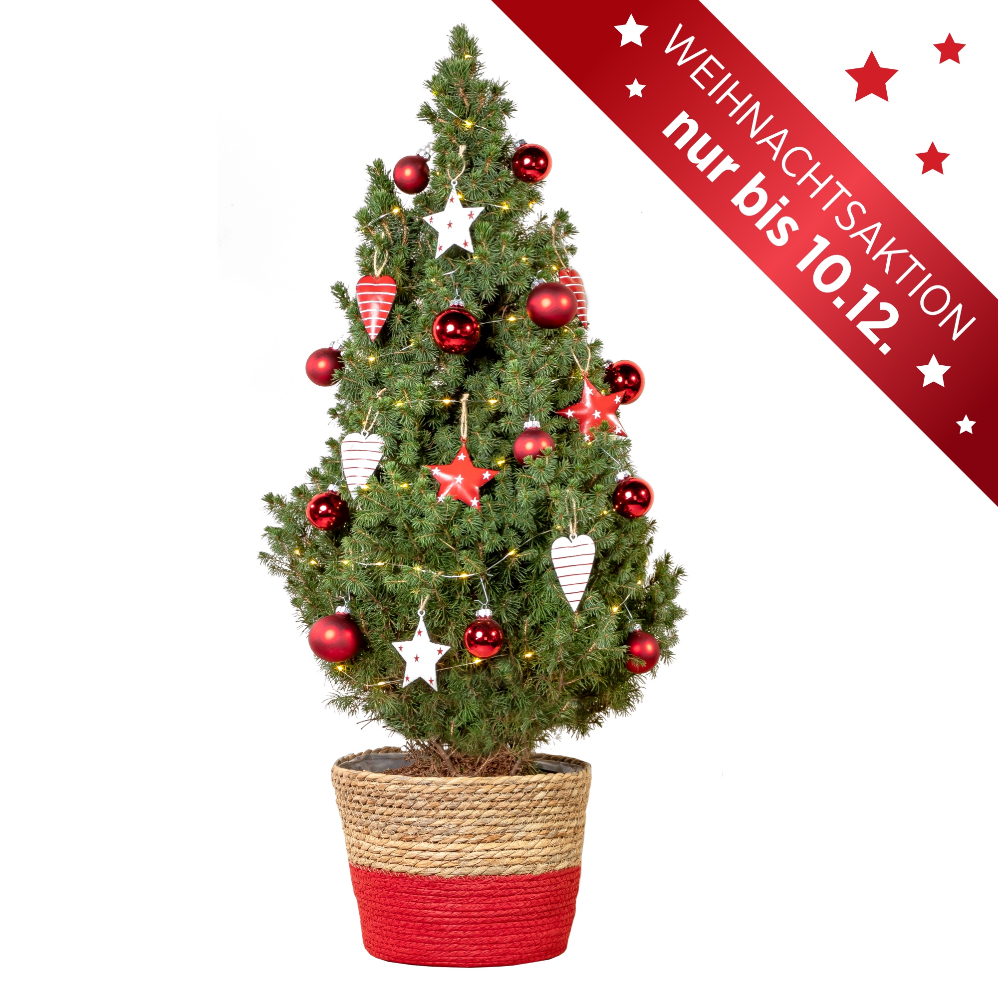 Festtags-Paket Weihnachtsbaum